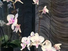 -金典银峰老鹅馆·昆山菜(亭林公园店)
