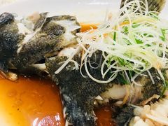 -榕树下海鲜馆(坪山路店)