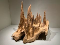 -香市公园-中国沉香文化博物馆