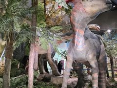 -湖南省地质博物馆