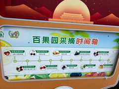 -前小桔亲子创意农场·草莓采摘·露营烧烤