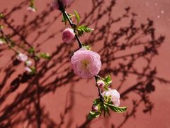 -西安市广仁寺