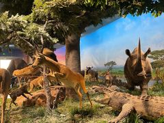 -国家自然博物馆