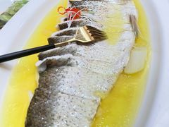 -鲁宴·鲁煨黄河生态大鲤鱼(月坛店)