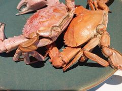 -渔港甄宴·海鲜·地标烟台菜(金沙滩店)