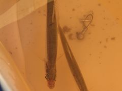 -绿堤公园