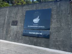 -怀托摩萤火虫洞