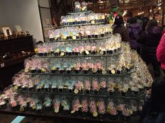 -小樽八音盒堂(手工制作体验馆店)