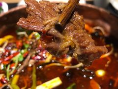 -蓉客成都火锅·招牌麻辣牛杂·特色香辣蹄花(凌水店)
