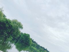 -上海共青森林公园