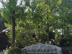 -东明山森林公园