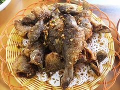 椒盐炸禾花鱼-菠菜美食