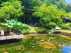 -云溪植物园