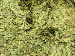 -文雅轩茶叶(锦和越界田林坊店)