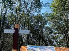 -江西阳明山国家森林公园