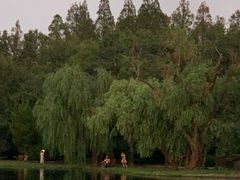 -共青国家森林公园-售票处