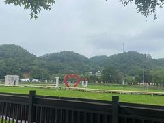 -红山村