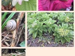 -龙坑生态保护区