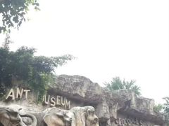 -是拉差龙虎园(Permanently closed)