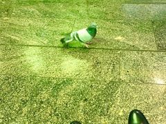 -谢列梅捷沃国际机场