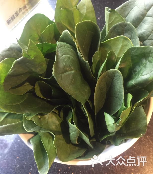 四川香天下火锅(共康店)-菠菜图片-上海美食-大众点评网