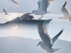 -海埂大坝