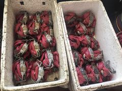 -莲花公园煎蟹(总店)