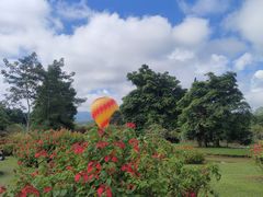 -西双版纳傣族园