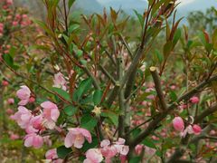 -亭下湖饭店(康岭店)