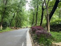 -合肥野生动物园