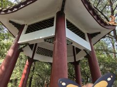 -宋井风景区