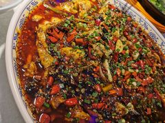 -新概念来凤鱼(璧山店)