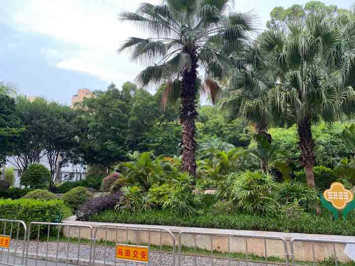 薯田埔龟山公园