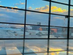 -谢列梅捷沃国际机场