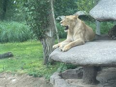 -北京野生动物园