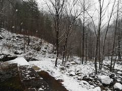 -黑河国家森林公园