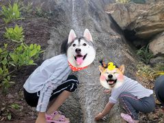 -枫香湖儿童公园