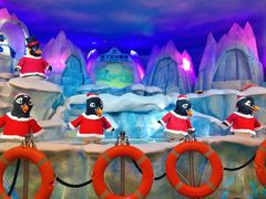 -帝企鹅自助餐厅•儿童岛•真企鹅(长隆企鹅酒店)