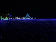 -国际非物质文化遗产博览园