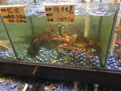 -大门水乡·顺德菜