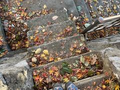 -梨泰院