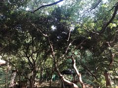 -宝岩生态观光园