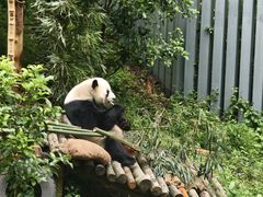 -黔灵山公园