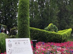 -东平国家森林公园