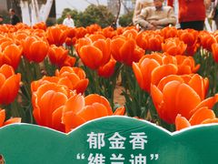 -江南大学(蠡湖校区)