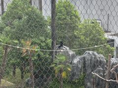 -武汉动物园