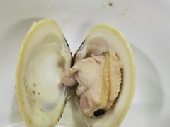 -顺德哥卜卜贝(旗舰店)