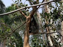 -费瑟代尔野生动物园