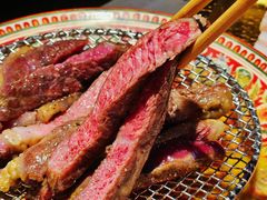 -杨小佳·齐齐哈尔烤肉·烤串(广州店)