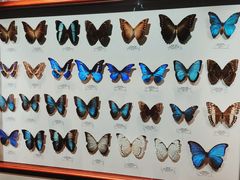-吉林省自然博物馆